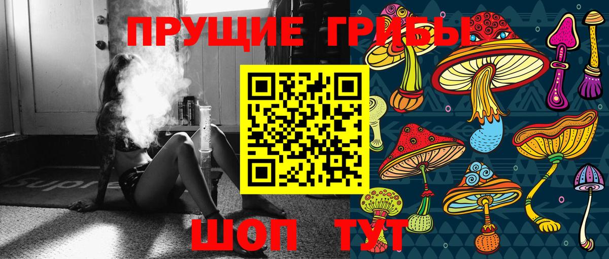Галлюциногенные грибы Psilocybine cubensis Орехово-Зуево