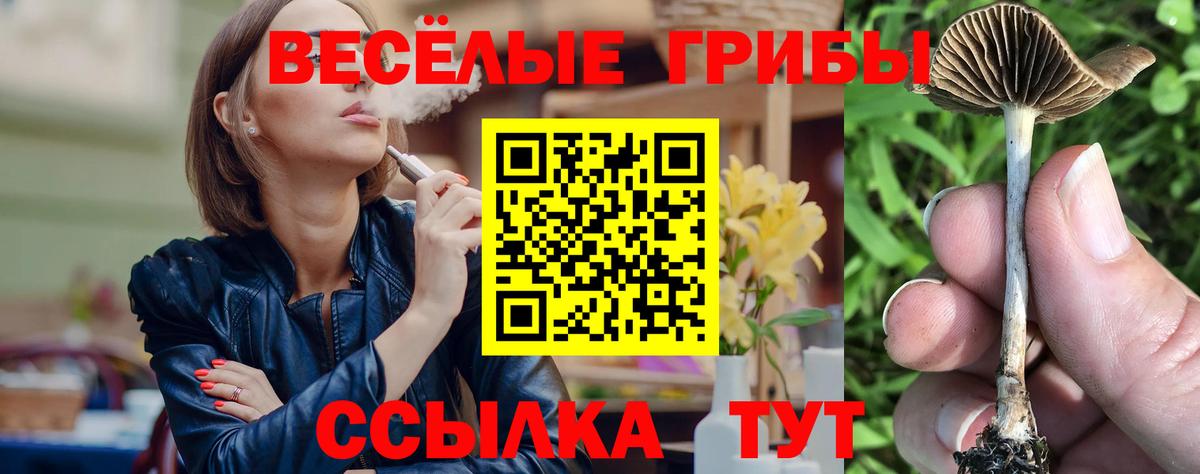 Орехово-Зуево  Галлюциногенные грибы мицелий  Вход с VPN  Галлюциногенные грибы Cubensis 
